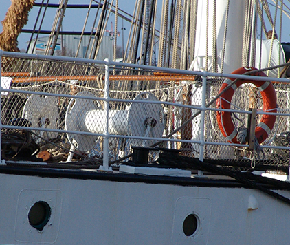 photo du belem